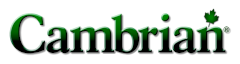 Cambrian Cambrian