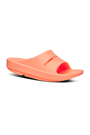 OOahh Sunburst Unisex 